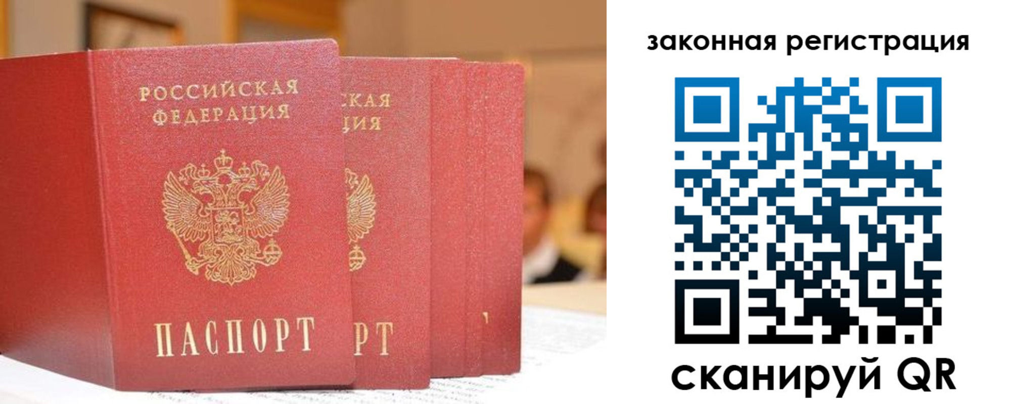 прописка поиск в Шуе